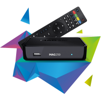 1 AYLIK MAG 250 SERVER